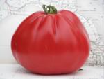 Tomate Coeur d'Albenga