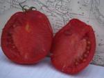 Tomate Coeur d'Albenga