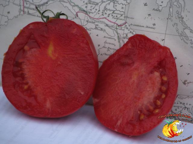 Tomate Coeur d'Albenga