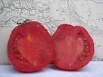 Tomate Coeur d'Albenga