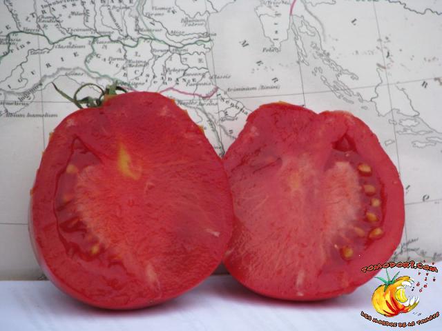 Tomate Coeur d'Albenga