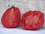 Tomate Coeur d'Albenga