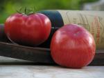 Tomate Vintage Wine