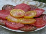 Assiette de Tomates 