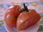 Tomate Potiron Ecarlate