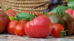 Assortiment de tomates
