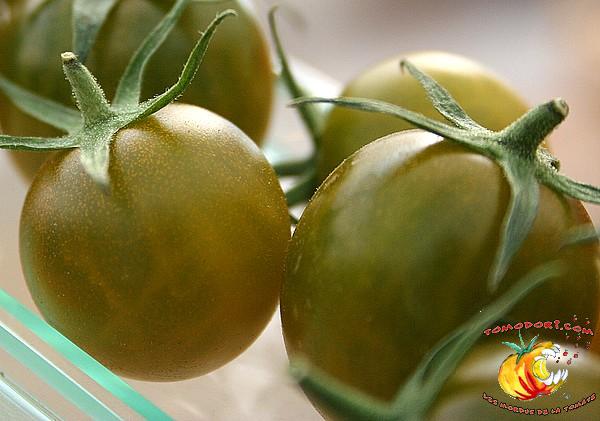 Tomate Raisin Vert 