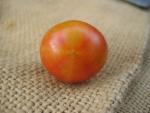 Tomate Isis Candy Cherry