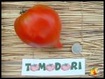 Tomate Téton de Vénus