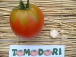 Tomate Anna Russian