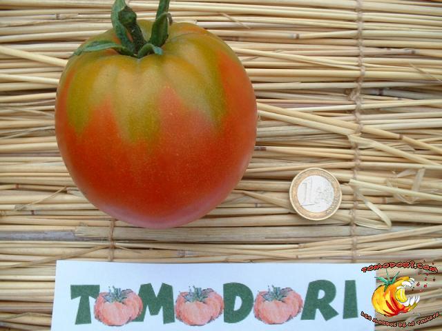 Tomate Anna Russian