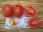 Tomate Podland Pink