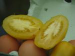 Tomate Ivory Egg