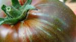 Tomate Noire de Crimée