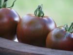 Tomate Noire de Crimée