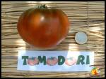 Tomate Paul Robeson