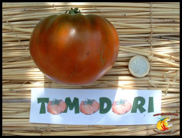 Tomate Paul Robeson