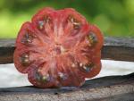 Tomate Purple Calabash