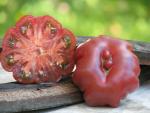 Tomate Purple Calabash