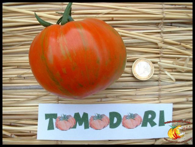 Tomate Schimmeig Creg