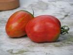 Tomate Striped Roman