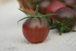 Tomate cerise noire