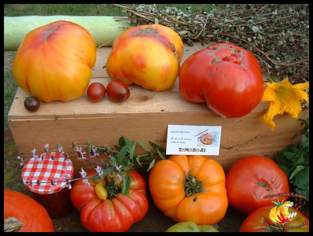 Tomates et couleurs