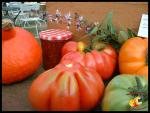 Tomates et couleurs