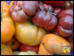 Tomates et Couleurs