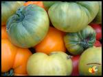 Tomates et Couleurs