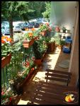 Mon jardin !!! n'est qu'un balcon