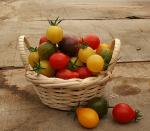 Tomates Cerises