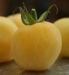 Tomate Pêche Blanche