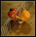 Photos originales 17