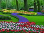Les jardins de Keukenhof