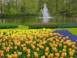 Keukenhof Photo 07