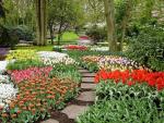 Keukenhof Photo 15