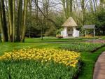 Keukenhof Photo 16