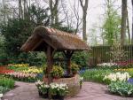 Keukenhof Photo 18