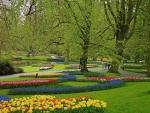 Keukenhof Photo 23