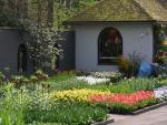 Keukenhof Photo 25