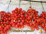 Tomates grappes à suspendre