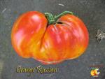 Orange Russian 