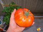 Tomate Ananas 