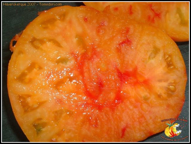 Tranche de tomate Ananas