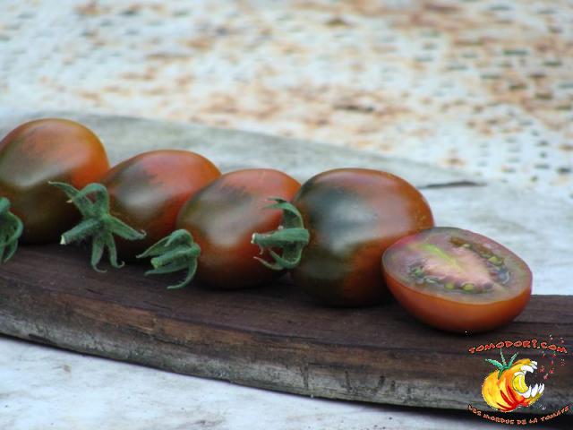 Tomate Prune Noire