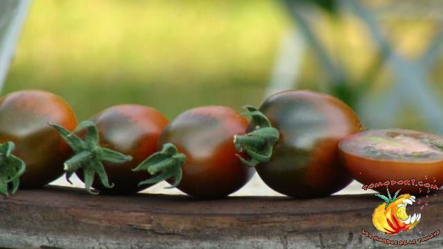 Tomate Prune Noire