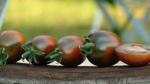 Tomate Prune Noire