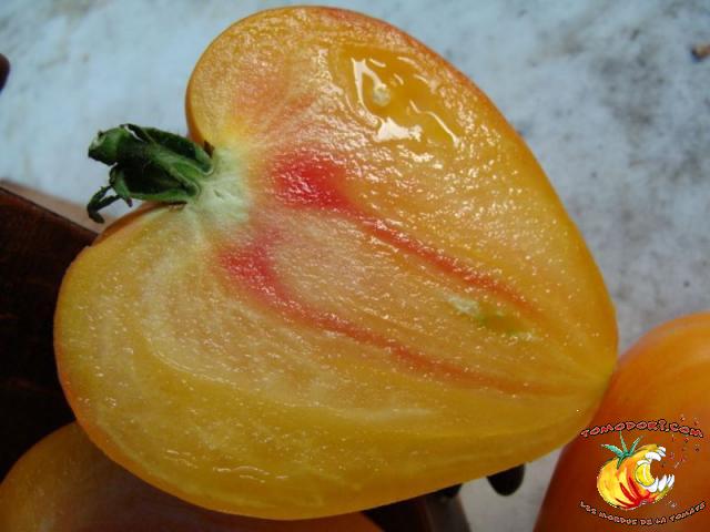Tomate Orange Russian