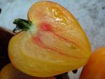 Tomate Orange Russian